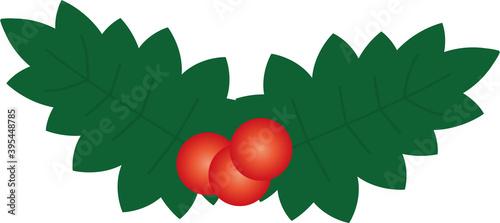 クリスマス用の可愛いシンプルな柊の葉っぱ