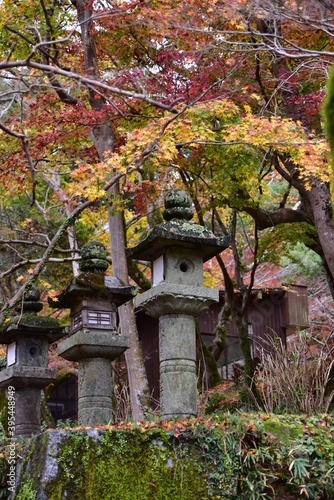 談山神社 © kishikou66