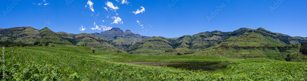 Monks Cowl Nature Reserve looking at the Drakensberg Mountains
