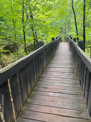 wooden bridge in the woods