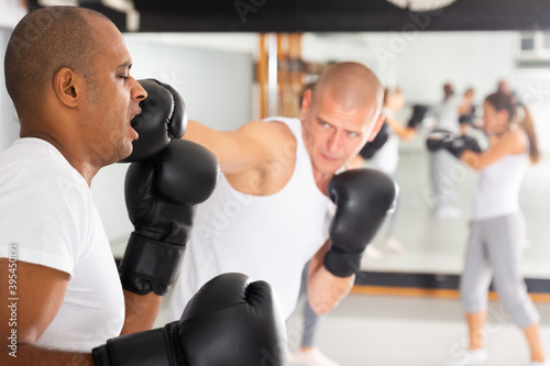 Hispanic man getting punched in jaw during sparring on boxing training at gym © JackF
