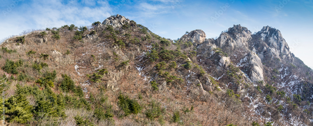 Panorama of Bukhansan Mountain national park with rocks, snow, and dead trees in the spring in Seoul of South Korea.