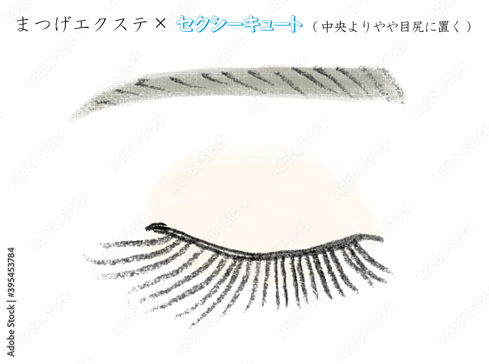 まつげエクステ パターン別イラスト Illyustraciya Stock Adobe Stock