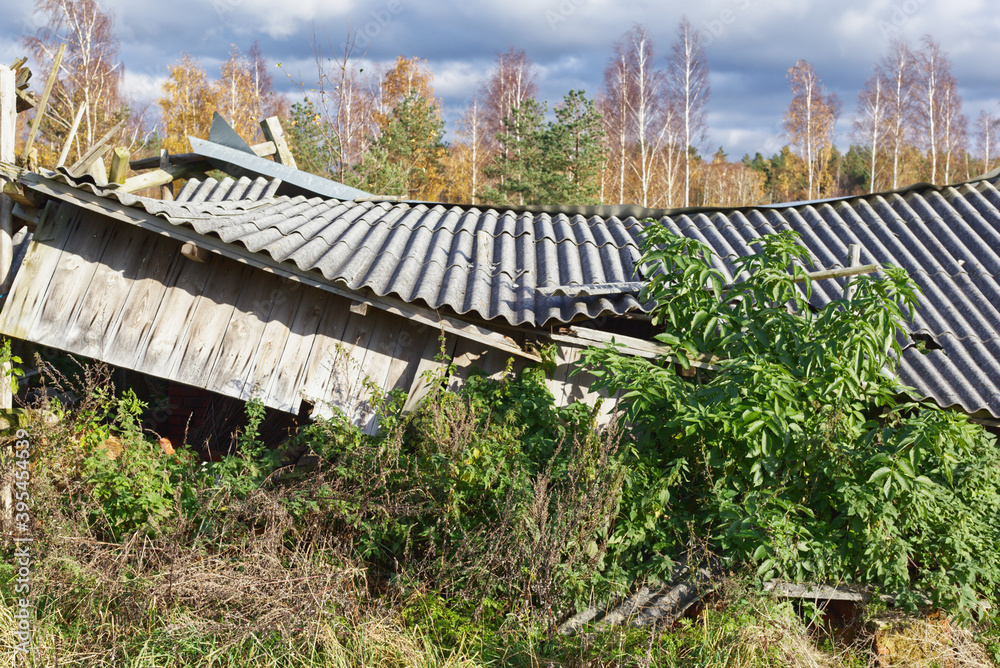 Fototapeta premium Old and very dangerous asbestos roof. Asbestos dust in the environment. Health problems