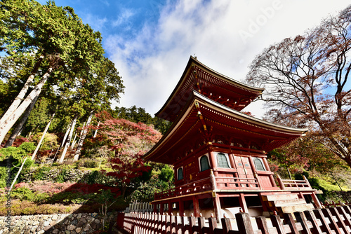 日本の大阪の紅葉の滝と寺