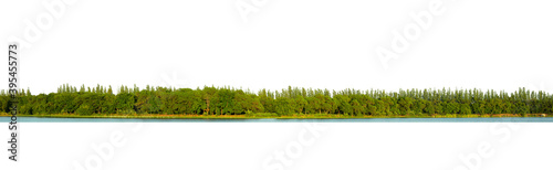 View of a High definition Treeline isolated on a white background.