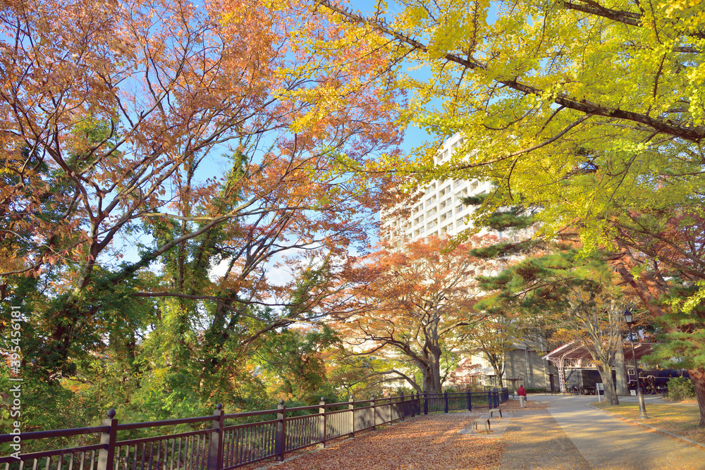 仙台の秋　西公園