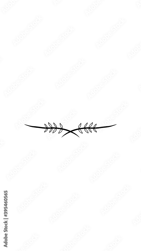 divider vector divider vector