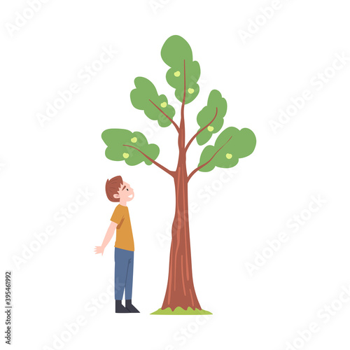 Little Boy Standing Near Fruit Tree and Watching Vector Illustration