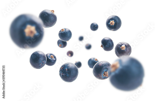 Juniper berries levitate on a white background photo