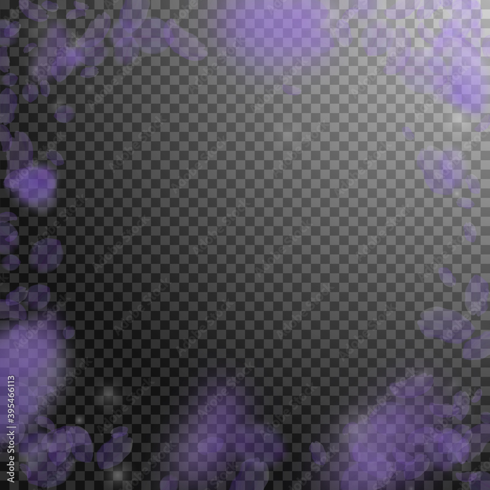 Violet flower petals falling down. Overwhelming ro Violet flower petals falling down. Overwhelming ro
