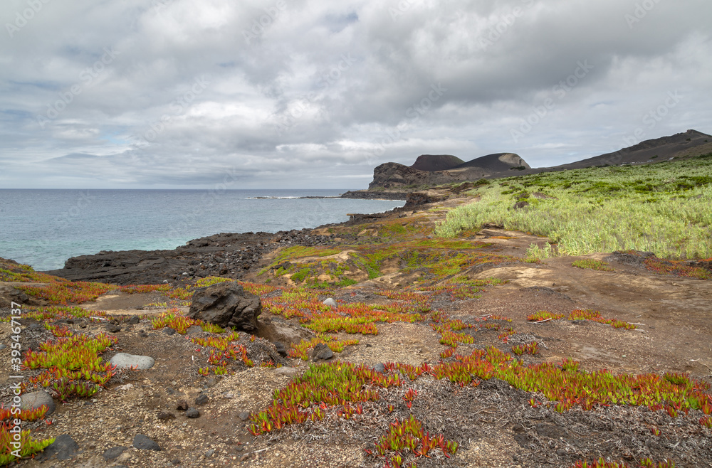Paysage de volcan Capelinhos à Faial aux Açores