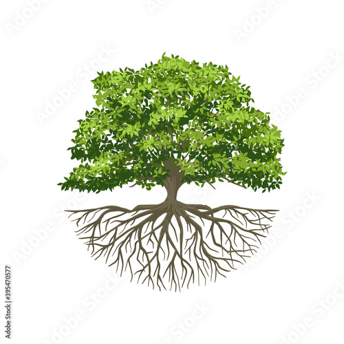 Fototapete Tree of Life or Tree and roots vector with round shape.