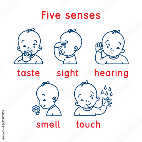 Five senses icon. Touch, taste hearing sight smell