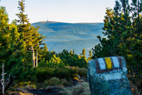 Tower on the top of Praded, View from yellow hiking trail, Vresova Studanka, Hruby Jesenik photo