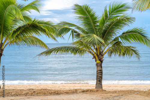 Fototapeta Naklejka Na Ścianę i Meble -  Coconut tree at seashore against blue sky.