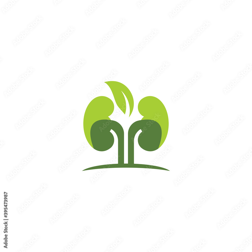 Obraz premium kidney vector illusrtation design logo template