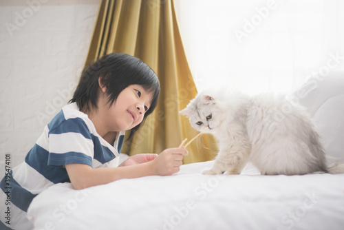 Fototapeta Naklejka Na Ścianę i Meble -  cute Asian child feeding  cats at home