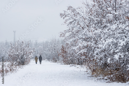 Two people walk along a snow-covered path in the park during a snowfall. Snow on the branches of trees and bushes. The girls are walking in the winter park. Cold snowy weather. Outdoor recreation.