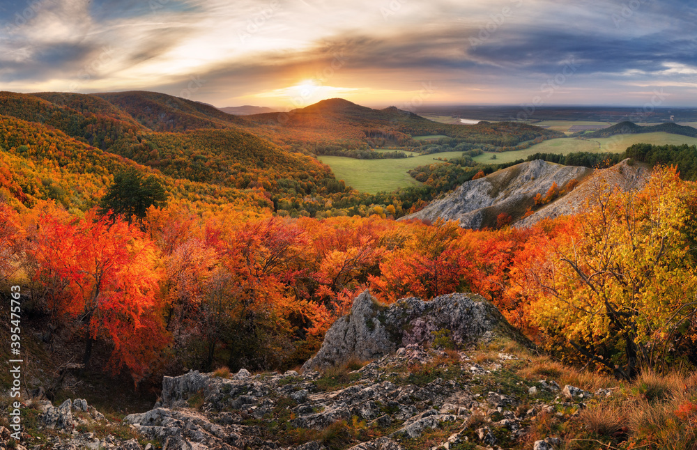 Fototapeta premium Nature at fall, Mountain with forest landscape