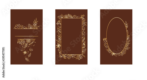 Aromatic spices and herbs for cooking. Set of vector banner templates for menu design, cookbooks, invitations, gastronomic parties.