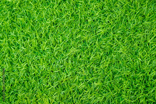 Green artificial grass natural