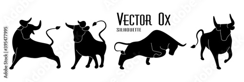 Bull set. Black silhouettes of ox on isolated white. Stylized icons of buffalo standing in different poses with horns. Bulls logo design collection. Vector stock illustration. Simple flat style.