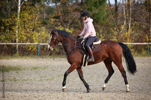Horse with rider in training, trot lesson with widely given reins..