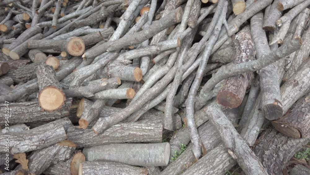 Sawed branches. tree trunk. pile of wood firewood. Close-up. Wooden logs. Sawed branches. tree trunk. pile of wood firewood. Close-up. Wooden logs.