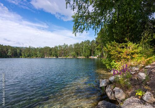 A stone lakeside of Turgoyak lake whit flowers and young pine