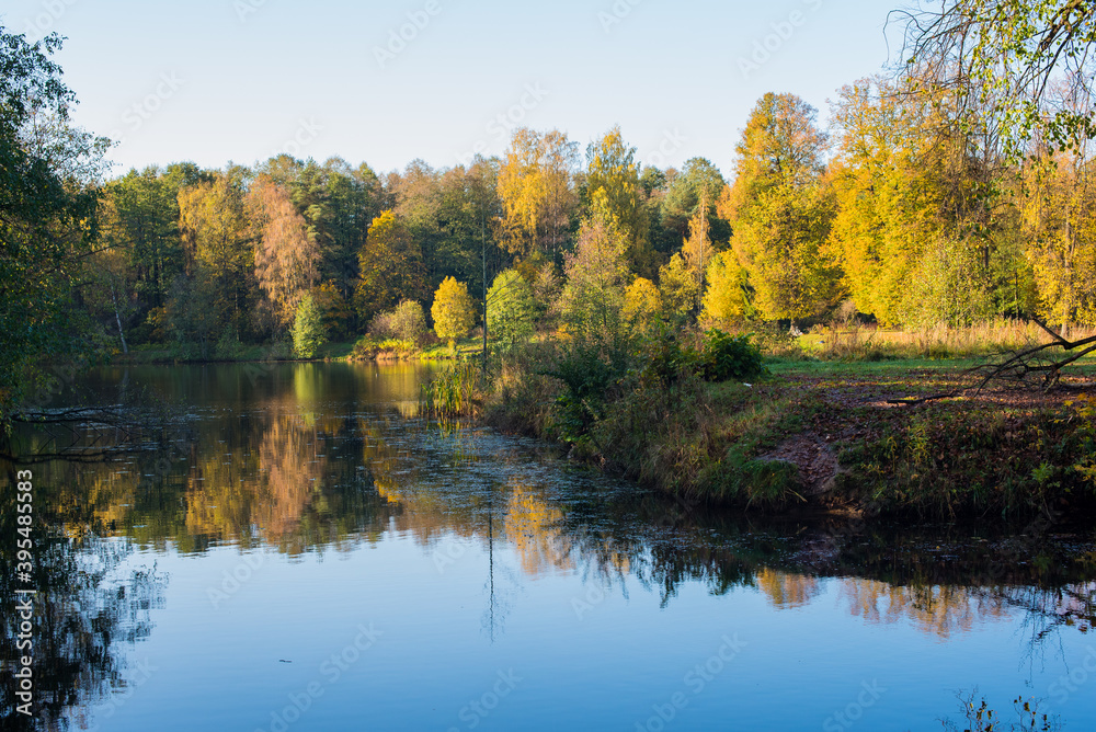 autumn trees reflected in water autumn trees reflected in water