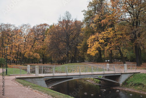 grey bridge on the river in the autumn city park 