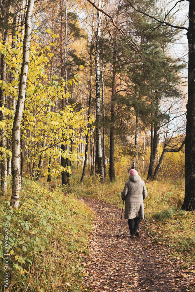 Scandinavian walking in autumn forest