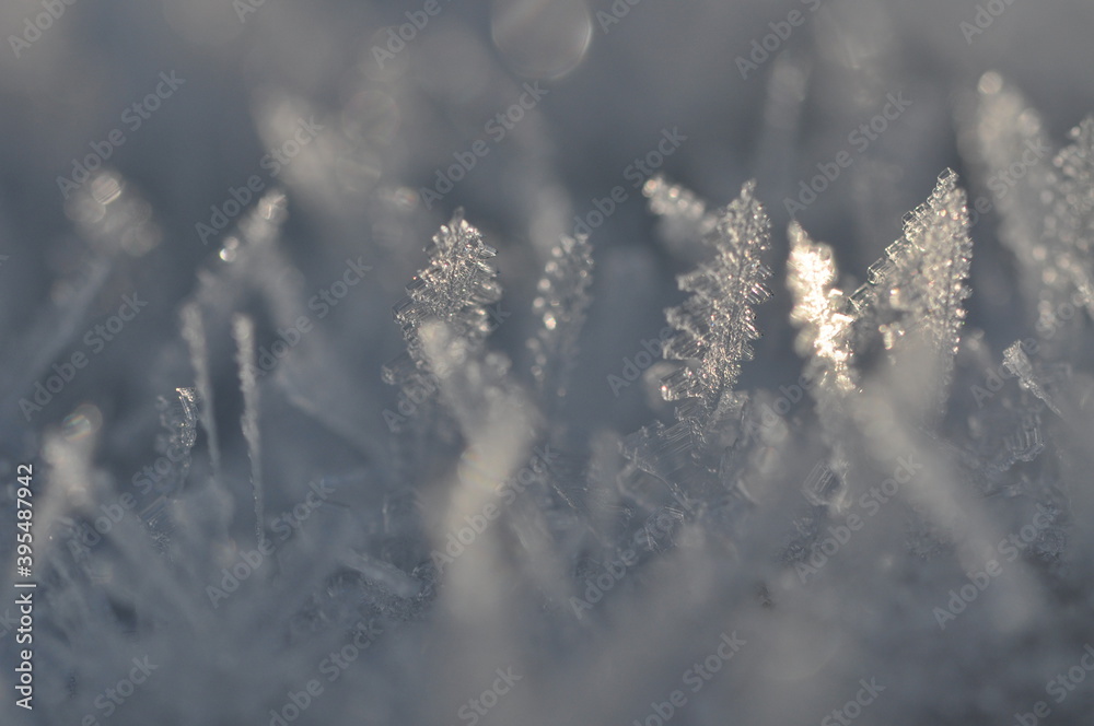 Obraz premium Schneeflocke