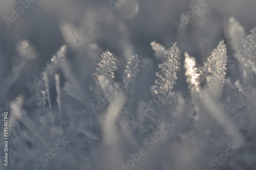 Schneeflocke © silkesbigpicture