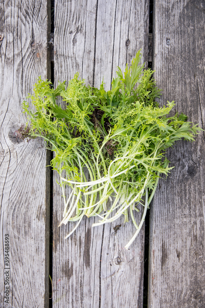 Oriental mixed leaf salad on a wooden surface Oriental mixed leaf salad on a wooden surface