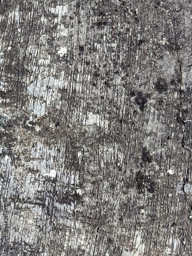 texture of the wood