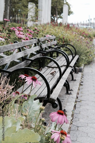Bird on a park bench with flowers