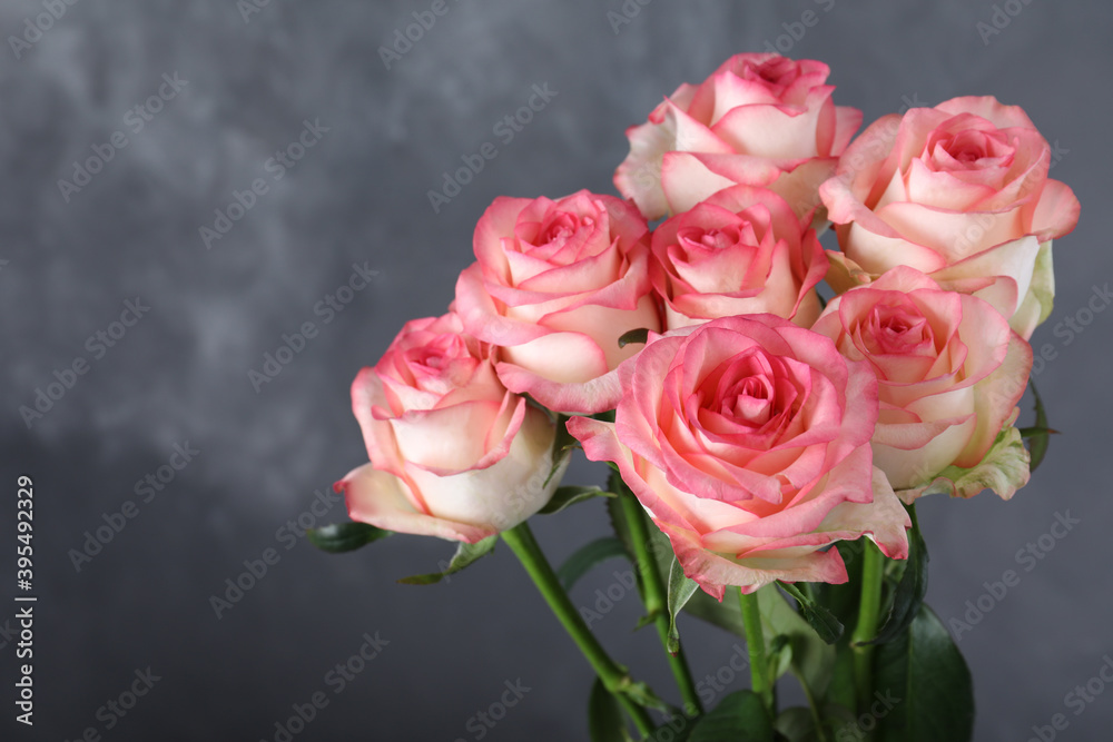 Bouquet of beautiful pink roses on grey background, closeup