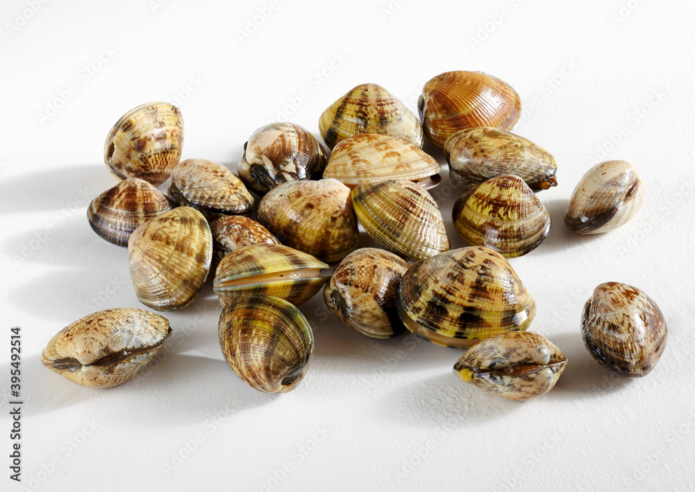 Clams, raw and closed Clams, raw and closed