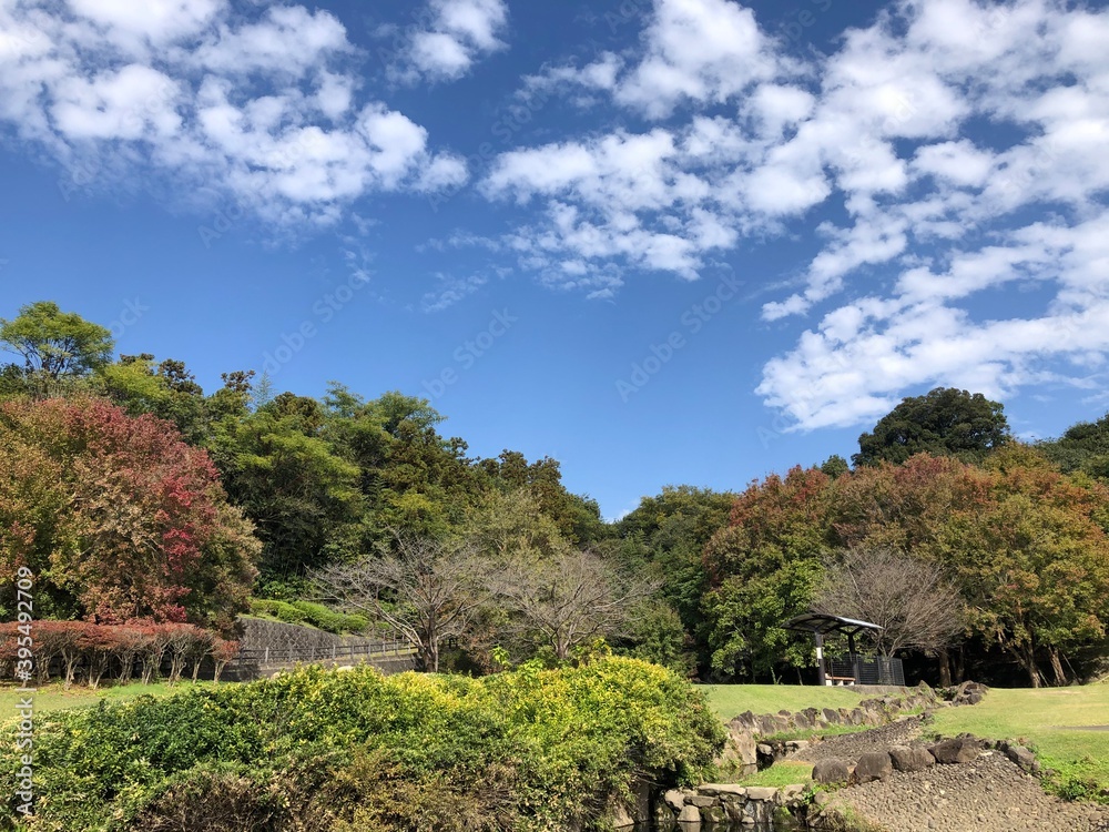 秋の森 秋の森