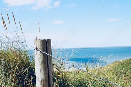 Ocean View Dunes