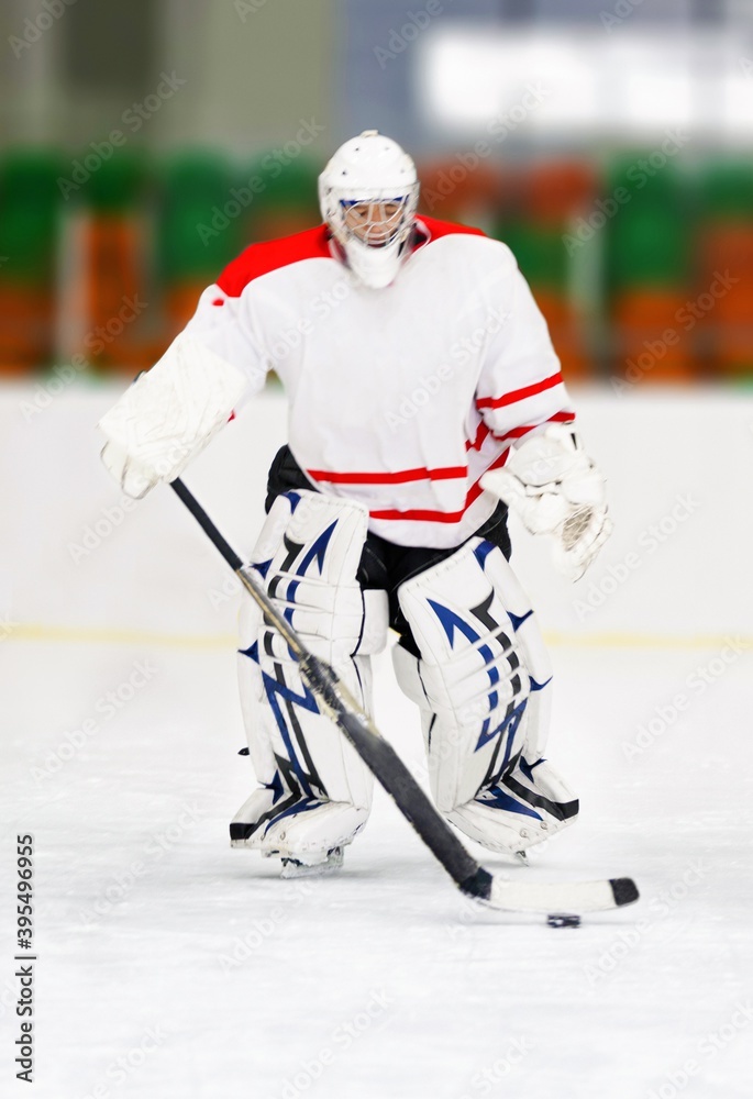 Fototapeta premium Hockey Goalie During a Game