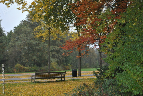 bench in autumn park