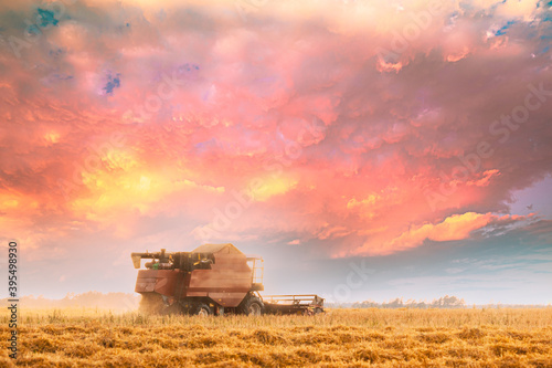 Combine Harvester Working In Field. Harvesting Of Wheat In Summer Season. Agricultural Machines Collecting Wheat Seeds