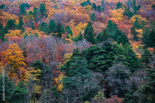 Hillside colorful autumn landscape at Manteigas - Serra da Estrela - Portugal. 