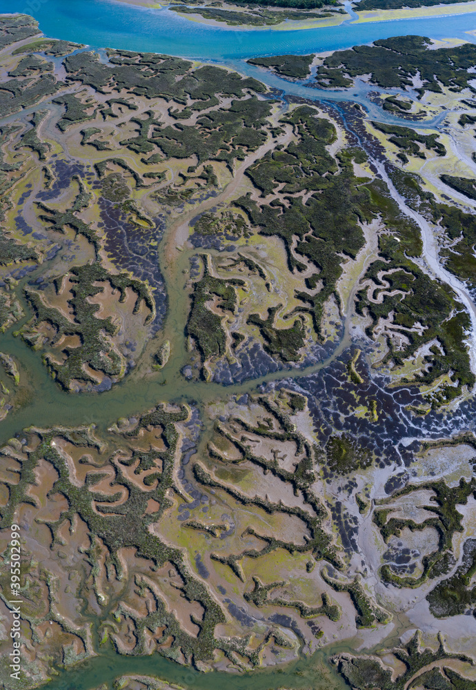 Tidal Marsh, Tidal Wetland (MARISMA), Low Tide, Marismas de Santoña, Victoria y Joyel Natural Park, Cantabria, Spain, Europe Tidal Marsh, Tidal Wetland (MARISMA), Low Tide, Marismas de Santoña, Victoria y Joyel Natural Park, Cantabria, Spain, Europe