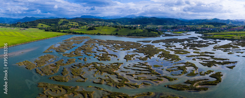 Tidal Marsh, Tidal Wetland (MARISMA), Low Tide, Marismas de Santoña, Victoria y Joyel Natural Park, Cantabria, Spain, Europe © JUAN CARLOS MUNOZ