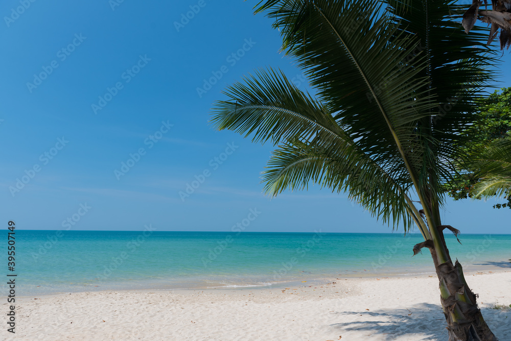 Fototapeta premium beach and sea, Holiday and vacation, nice tropical beach with palms, White clouds with blue sky 