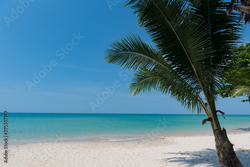Fototapeta Naklejka Na Ścianę i Meble -  beach and sea, Holiday and vacation, nice tropical beach with palms, White clouds with blue sky 
